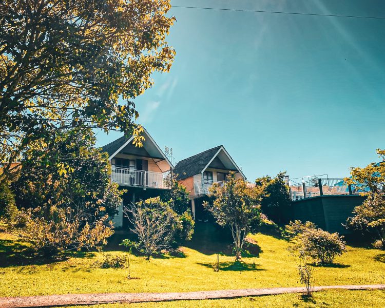 79CF000C-6543-44F3-BA35-69A2030D732A_1_102_a