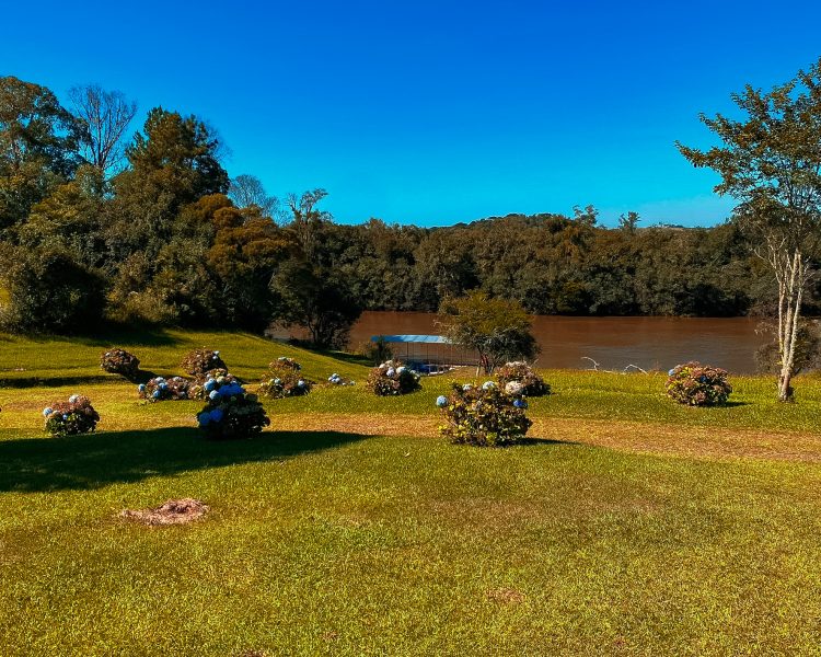 FD8E5051-84C1-4783-BD1C-28B373CA3963_1_102_a