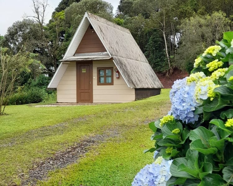 WhatsApp Image 2024-03-20 at 12.30.38