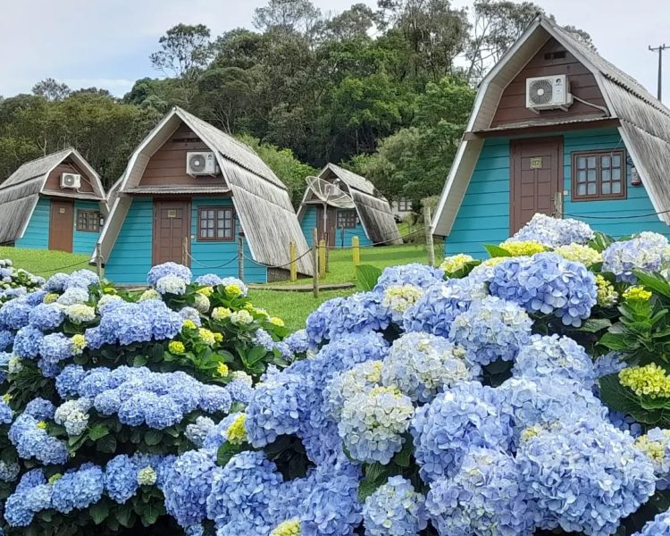 WhatsApp Image 2024-03-20 at 13.06.23